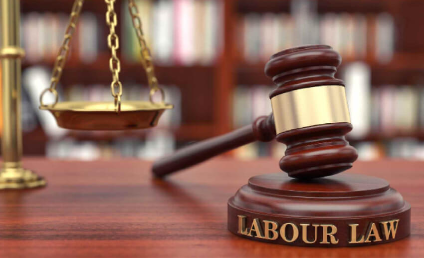 Employment and labor law