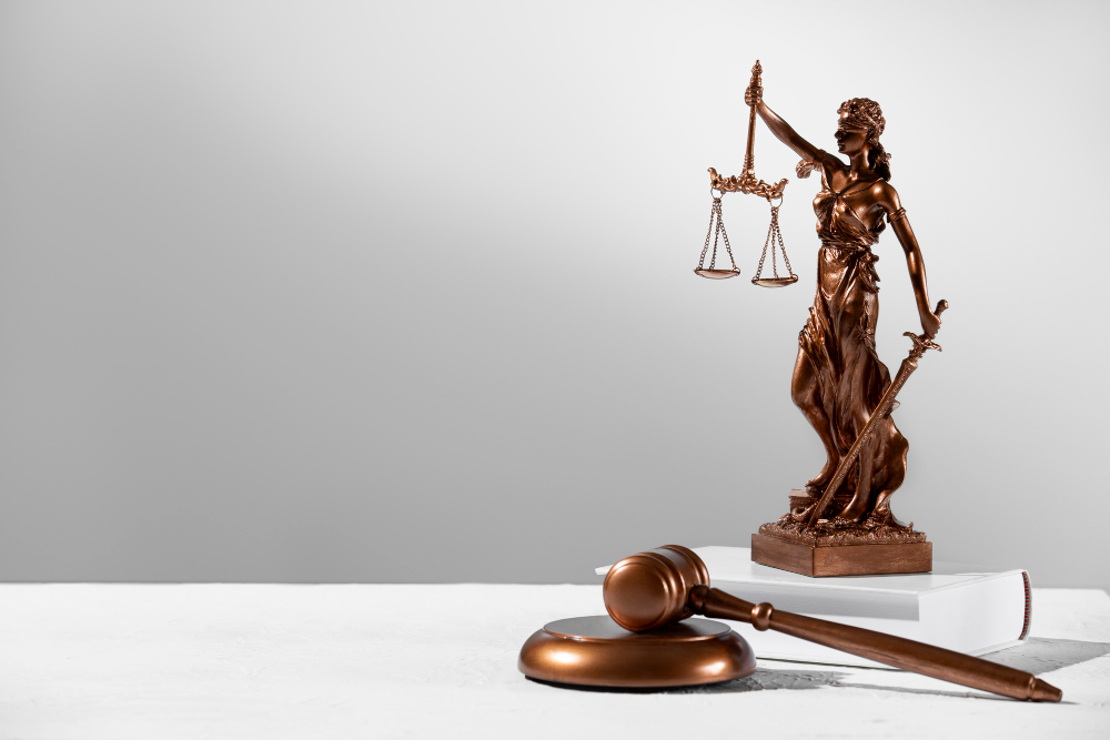 legal adviser in a white background